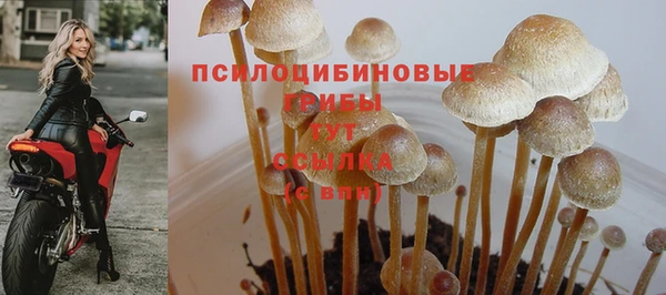 кокс Алзамай