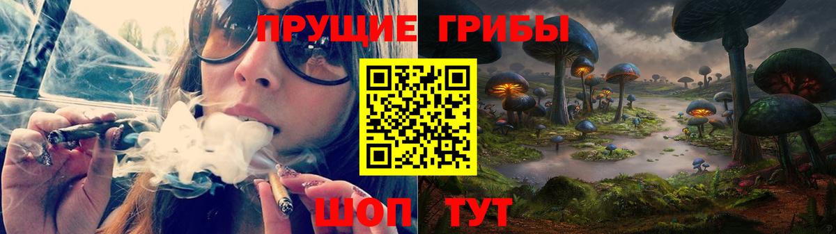 Большой Камень  Псилоцибиновые грибы Cubensis  Вход с VPN 