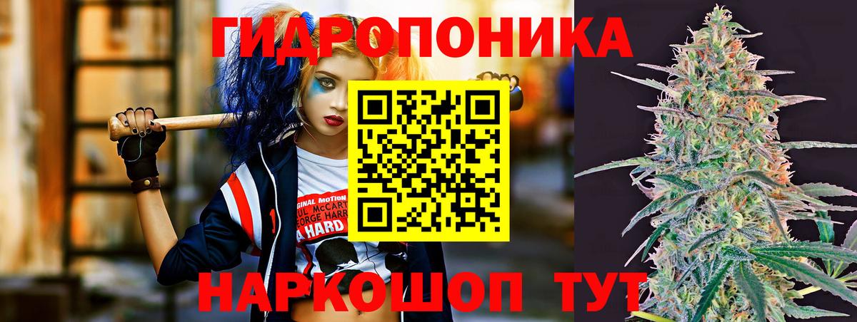 Конопля тримм  Вход с VPN  Конопля тримм  Большой Камень  Бошки марихуана Bruce Banner 